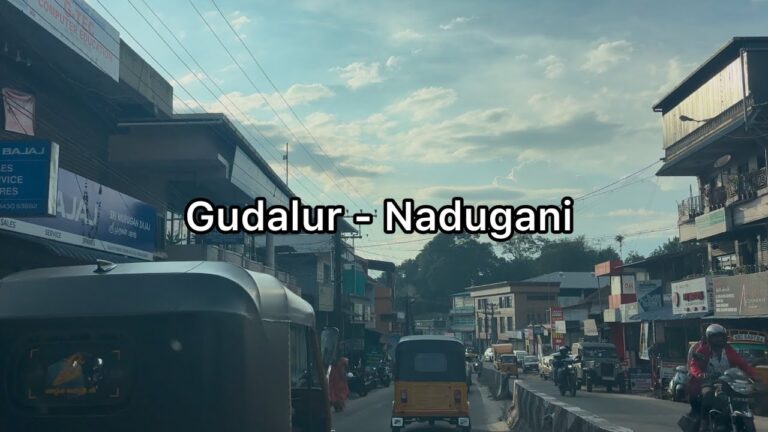Gudalur to Nadugani evening sun rays time road trip | 4K