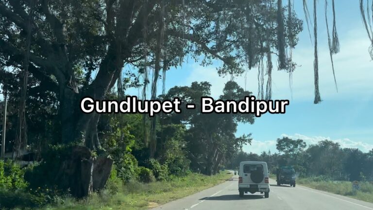 Gundlupete to Bandipur Tiger Reserve road trip | 4K