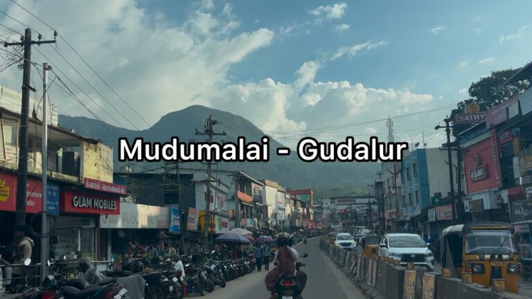 Mudumalai Tiger Reserve to Gudalur road trip | 4K