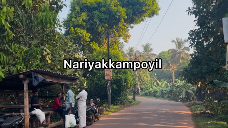 Nariyakkampoyil city tour | Malappuram district | 4K